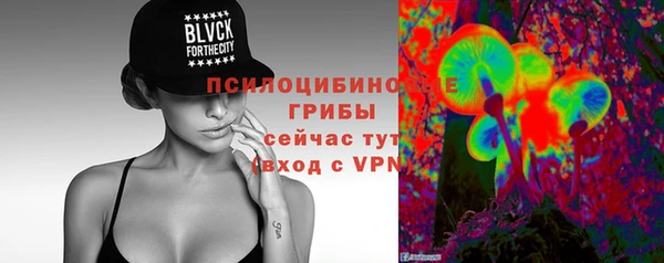 2c-b Карпинск