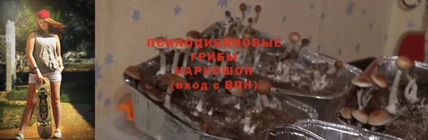а пвп мука Карталы