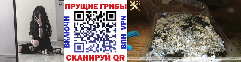 Псилоцибиновые грибы MAGIC MUSHROOMS  Купить где  Грайворон 