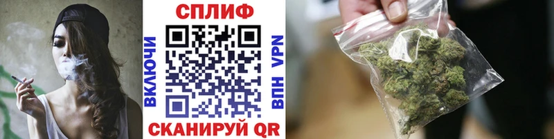 Купить закладки  Грайворон  Каннабис сатива 